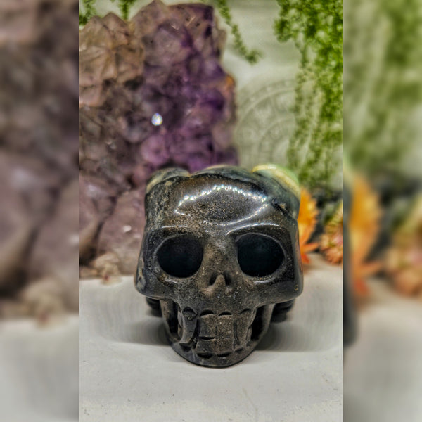 Caribbean skull