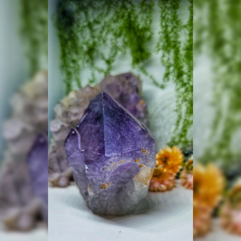 Amethyst cutbase