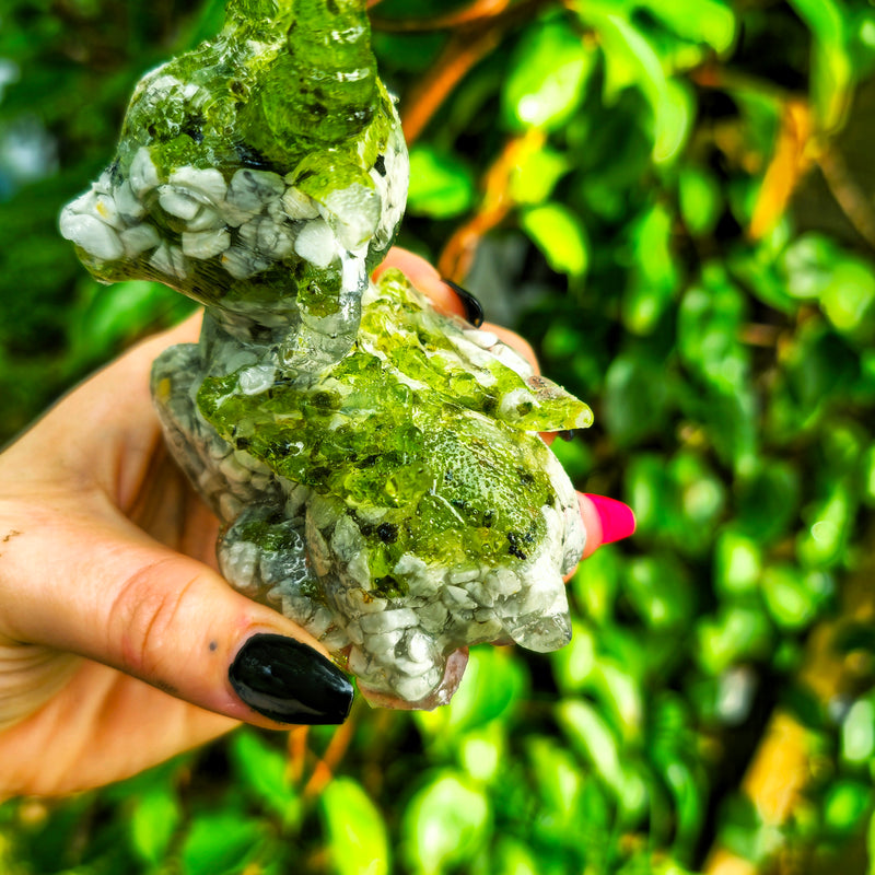 Daisy the demon goat