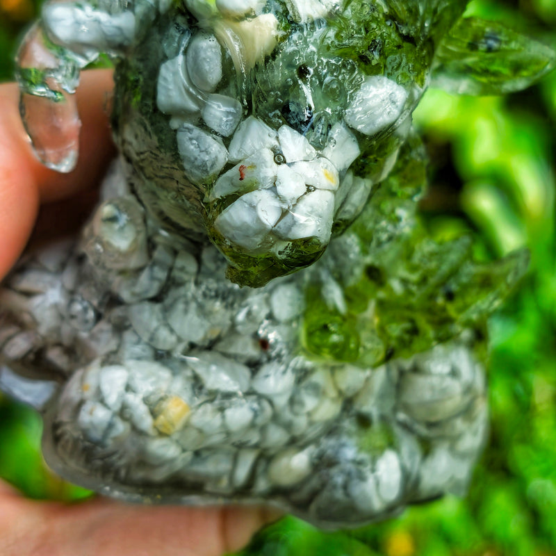 Daisy the demon goat