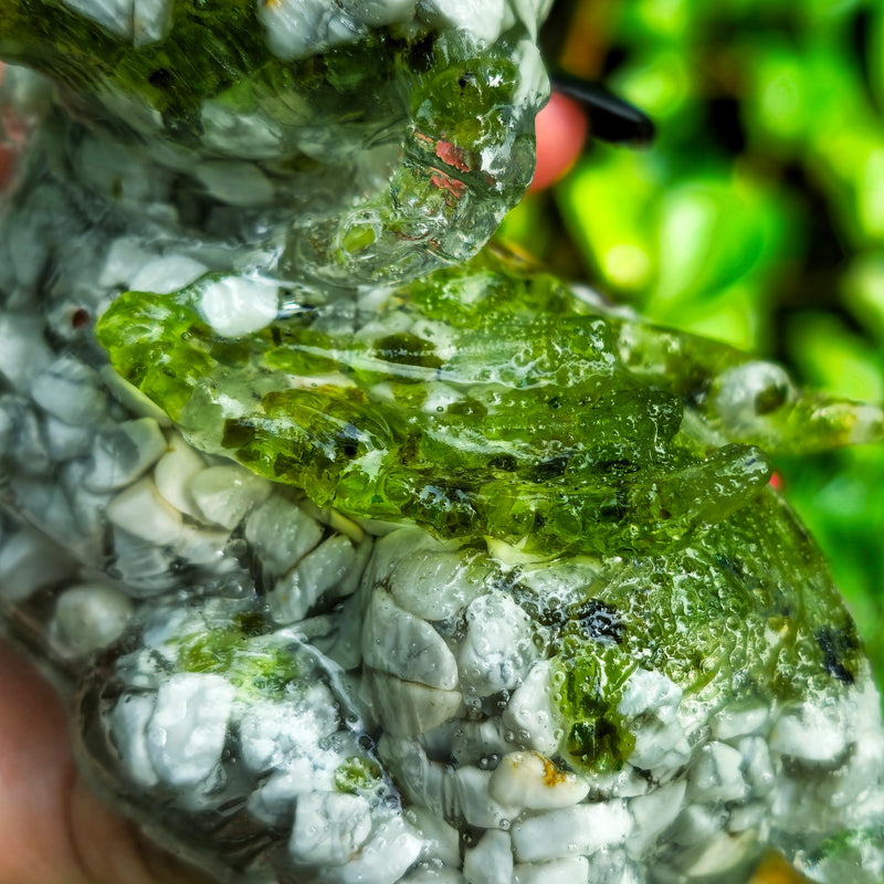 Daisy the demon goat