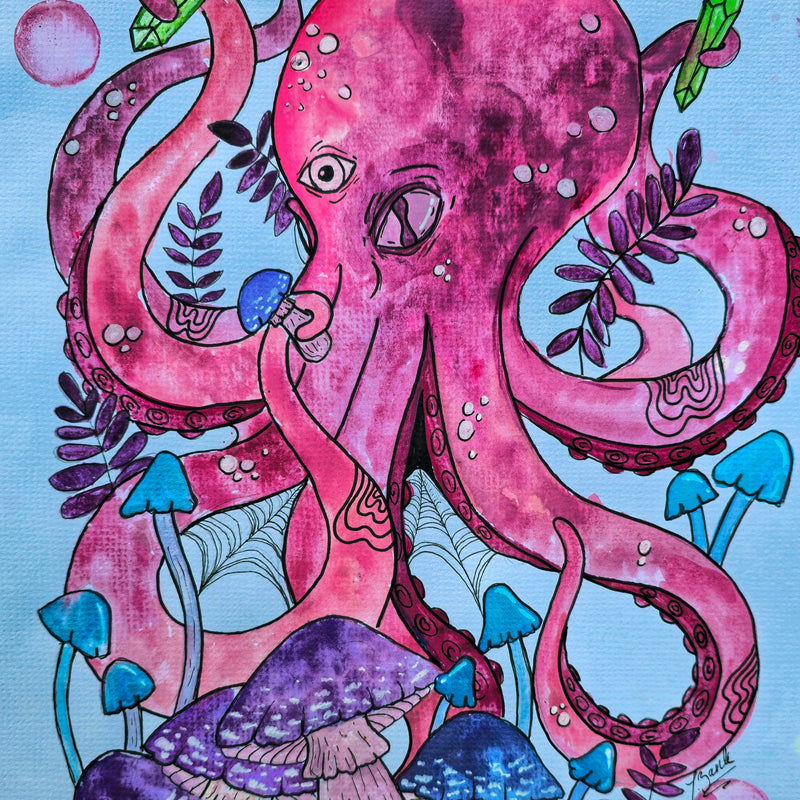 Curious octopus