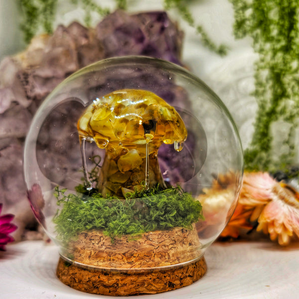 Fairy mushroom dome